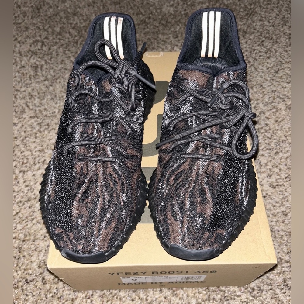 Adidas Yeezy Boost 350